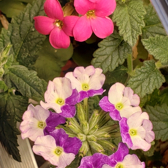 My items need a home! - Picture 3 of 4